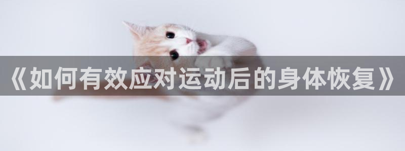 三亿体育