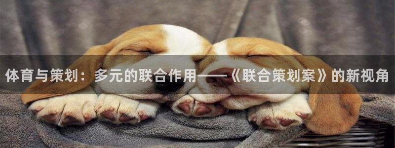 三亿体育网页版
