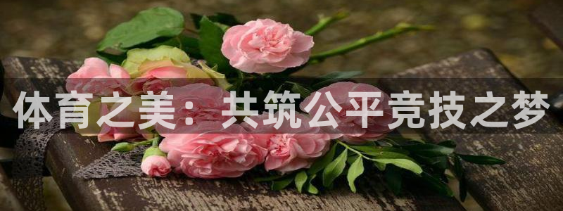 三亿体育：体育之美：共筑公平竞技之梦