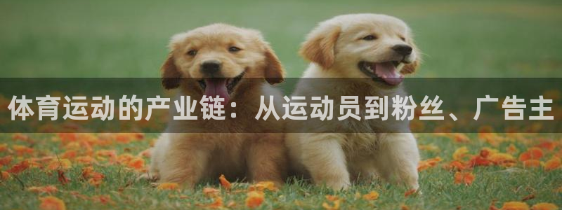 三亿体育：体育运动的产业链：从运动员到粉丝、广告主