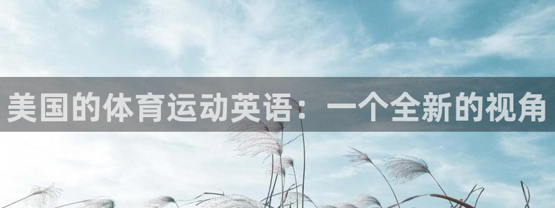 三亿体育网页版：美国的体育运动英语：一个全新的视角