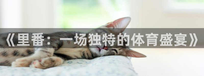 三亿体育：《里番：一场独特的体育盛宴》