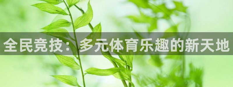 三亿体育网页版：全民竞技：多元体育乐趣的新天地