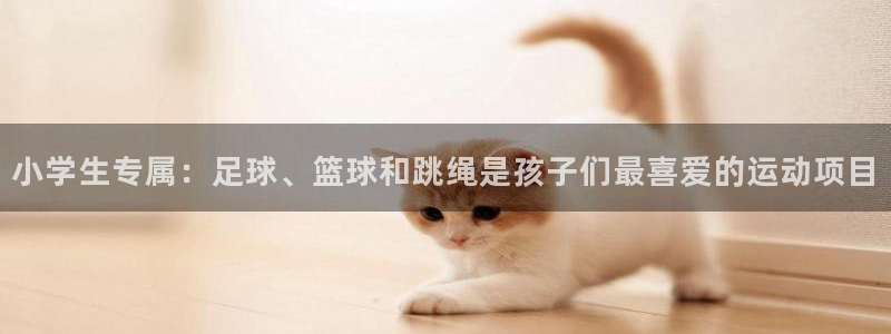 三亿体育：小学生专属：足球、篮球和跳绳是孩子们最喜爱的运动项目
