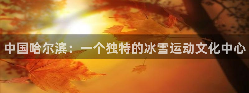 三亿体育网页版：中国哈尔滨：一个独特的冰雪运动文化中心