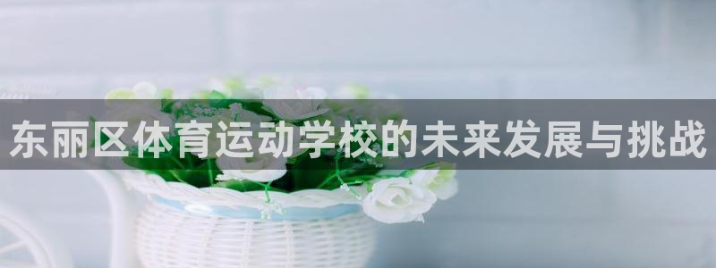 三亿体育登录：东丽区体育运动学校的未来发展与挑战