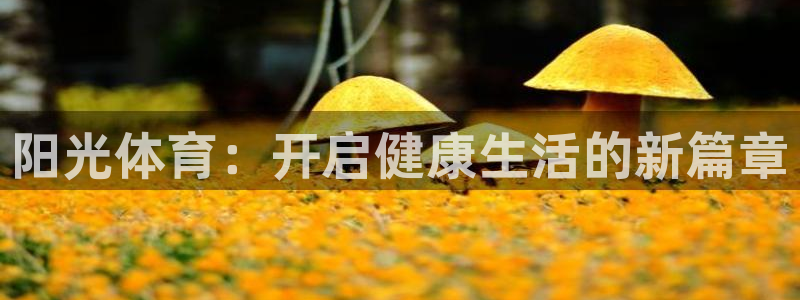 三亿体育