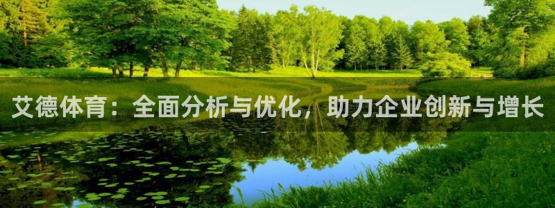 三亿体育网：艾德体育：全面分析与优化，助力企业创新与增长